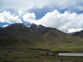 ペループーノ04