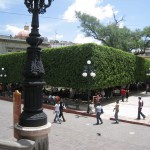 メキシコグアナファト24