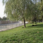 チリサンティアゴ42