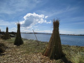 ペループーノ46