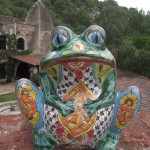 メキシコグアナファト43