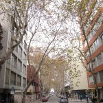 モンテビデオ05