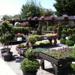 アメリカのガーデン屋03