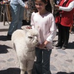 ペルーコルカ39