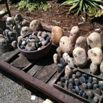 アメリカのガーデン屋24