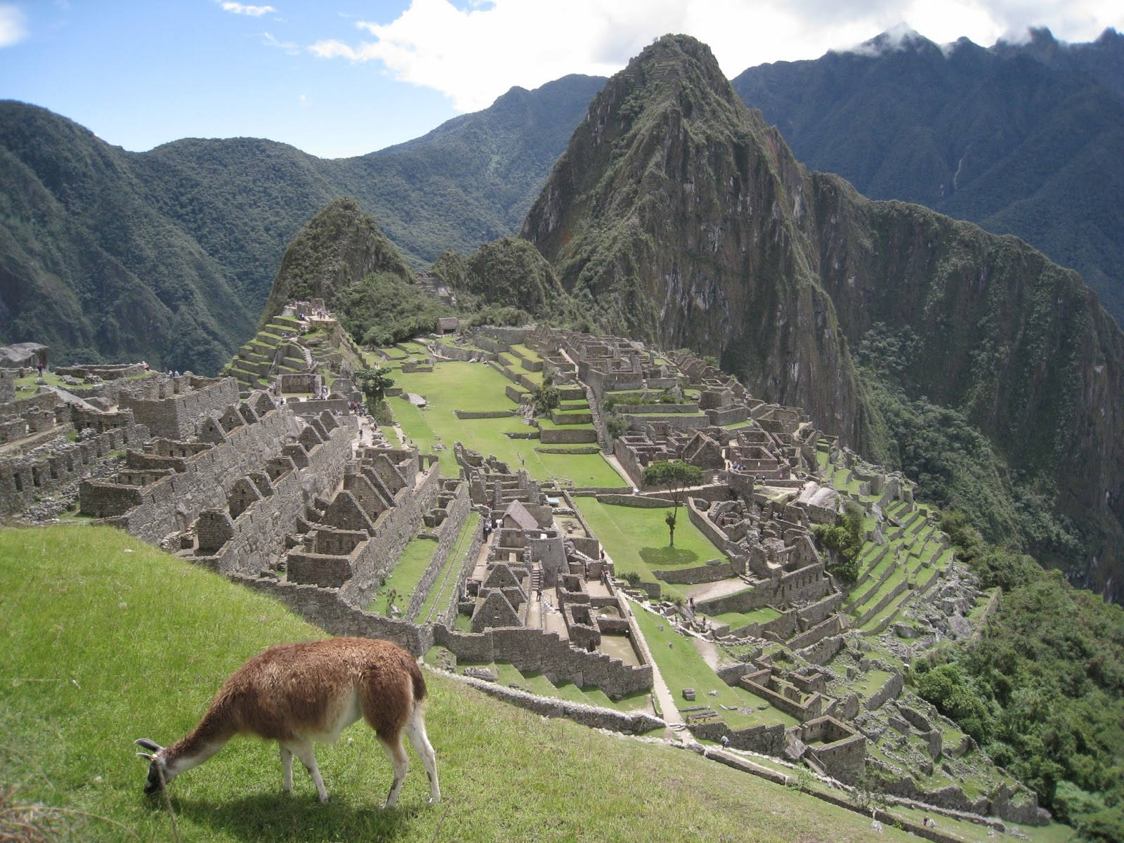 ペルーマチュピチュ01