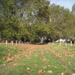 ブエノスアイレス03