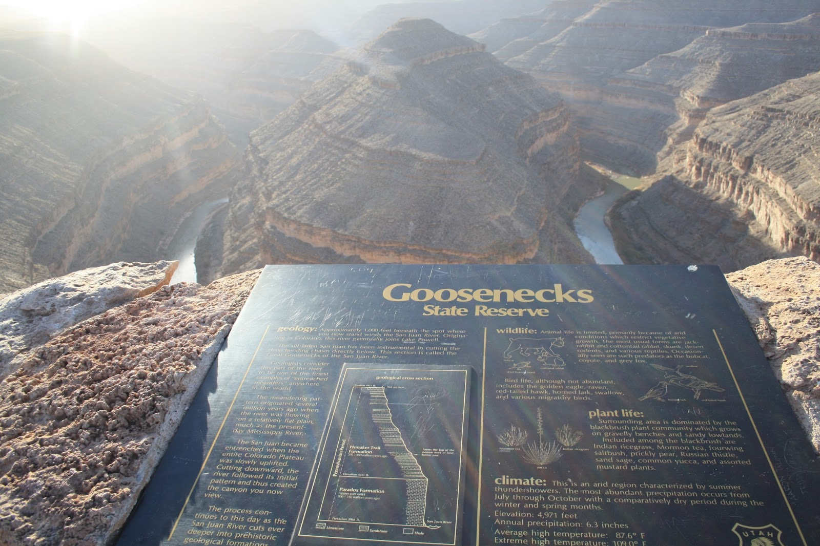 グースネック州立公園02