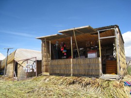 ペループーノ48