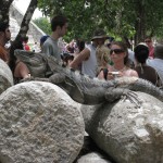 メキシコカンクン11