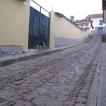 ペルークスコ51