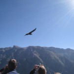 ペルーコルカ13