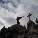 ブエノスアイレス53