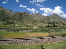 ペループーノ38