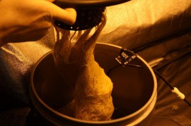 サンフランシスコ19