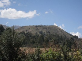 ペループーノ06