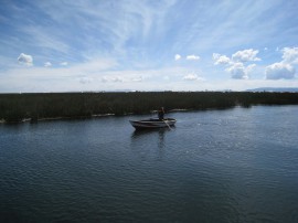 ペループーノ22