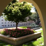 ニューポートビーチ墓参り07