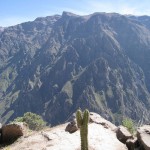 ペルーコルカ12