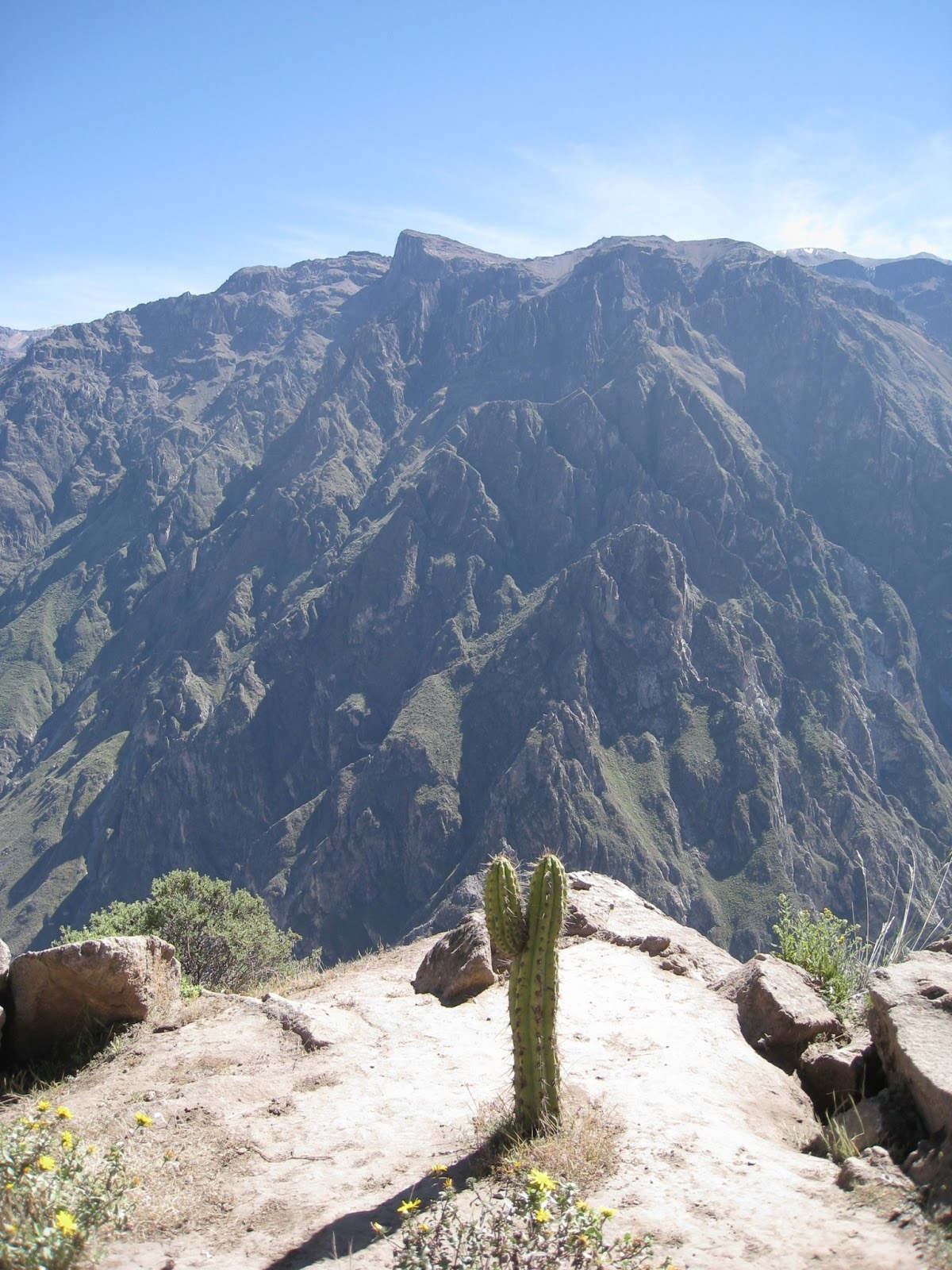 ペルーコルカ12