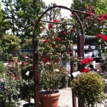 アメリカのガーデン屋14