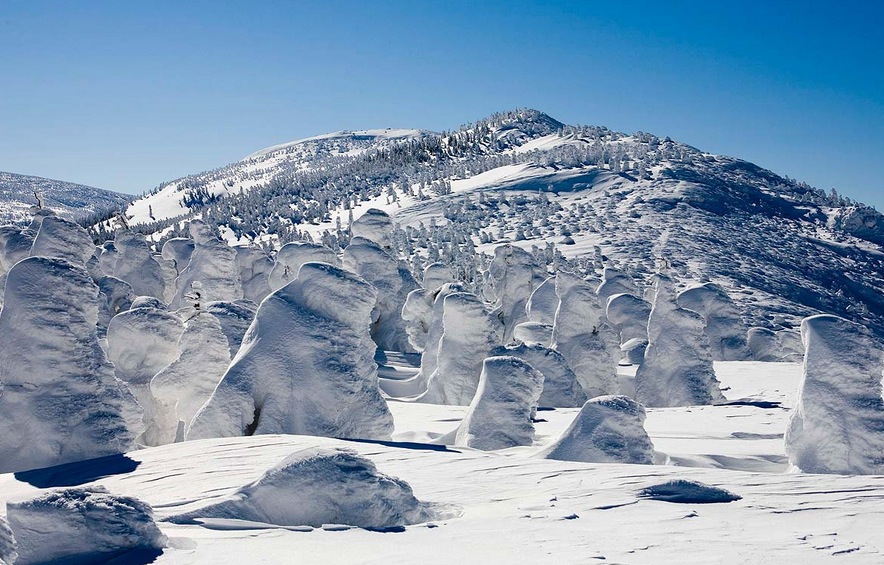 蔵王の樹氷02