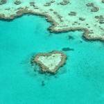 ハート・リーフ