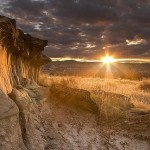 恐竜州立自然公園04