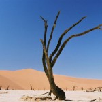 ナミビア砂漠04