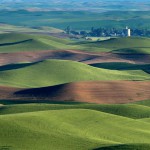 パルース丘陵01