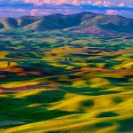 パルース丘陵03