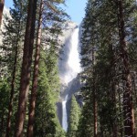 ヨセミテ国立公園04