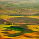 パルース丘陵04