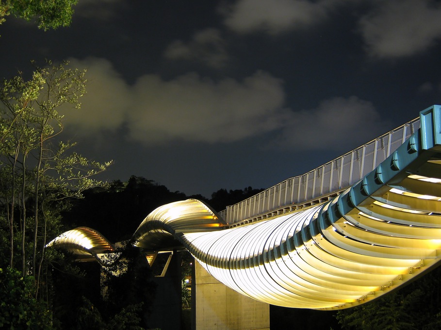 Henderson Waves Bridge 01