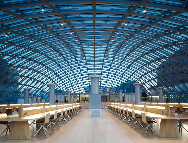 Joe and Rika Mansueto Library02