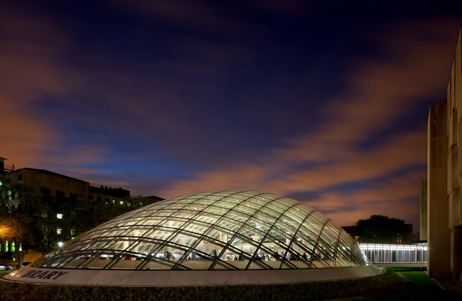 Joe and Rika Mansueto Library03