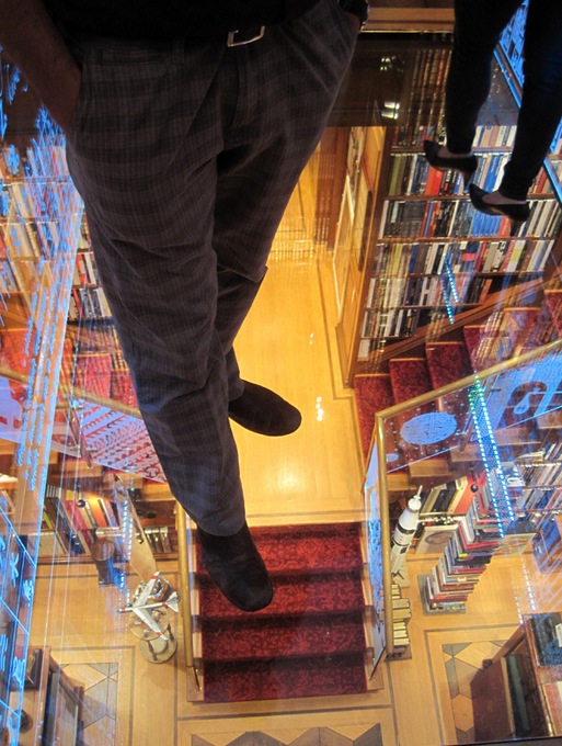 The Library of the History of Human Imagination02