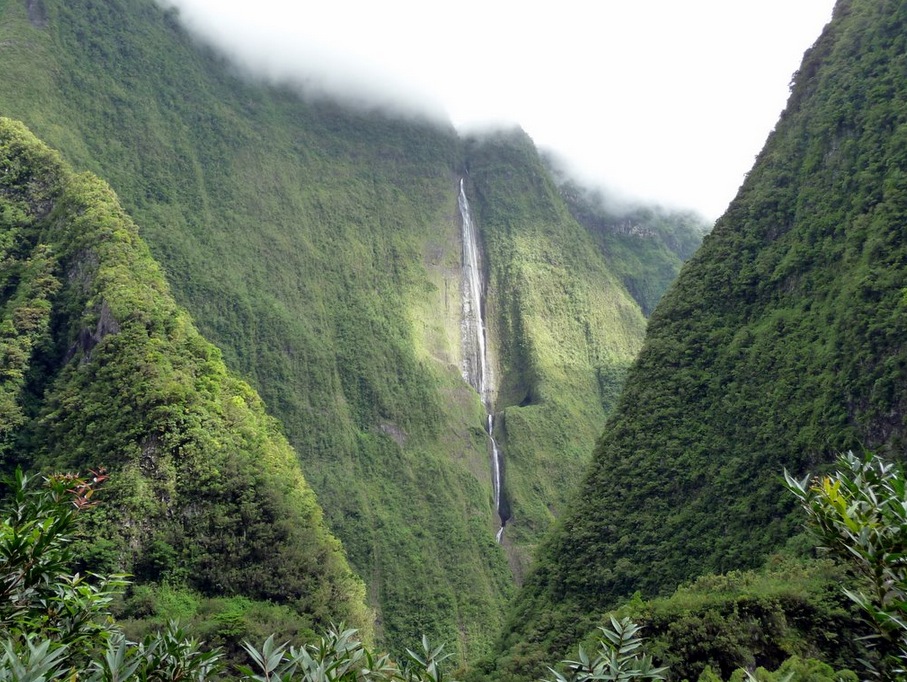 Cascade Blanche(サラジー)