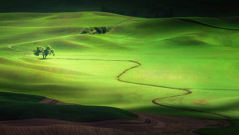 パルース丘陵02