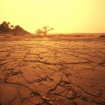 ナミビア砂漠03