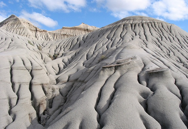恐竜州立自然公園01