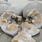 モエラキ・ボルダー02